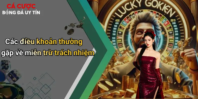 Các điều khoản thường gặp về miễn trừ trách nhiệm