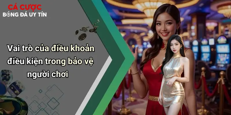Vai trò của điều khoản điều kiện trong bảo vệ người chơi