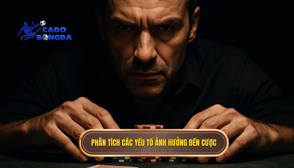 Phân Tích Chuyên Sâu Các Yếu Tố Ảnh Hưởng Đến Kèo Cược