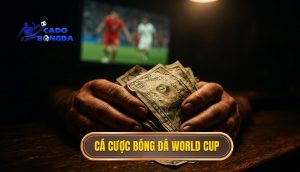 cá cược bóng đá World Cup