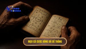 mẹo cá cược bóng đá dễ thắng