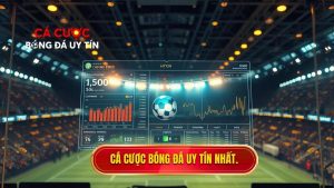 Cá cược bóng đá uy tín nhất.