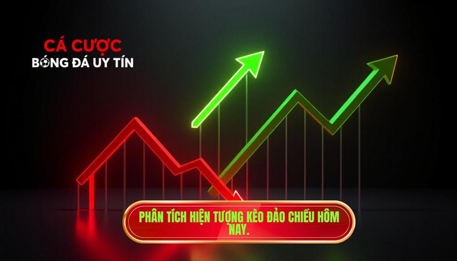 Phân tích hiện tượng kèo đảo chiều hôm nay.