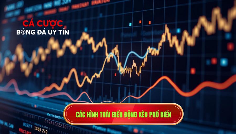 Các hình thái biến động kèo phổ biến