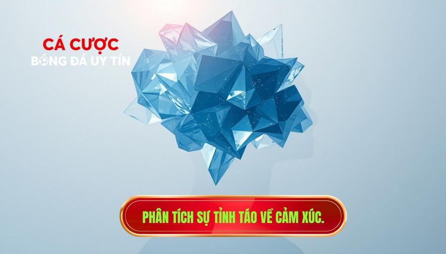 Phân tích sự tỉnh táo về cảm xúc.