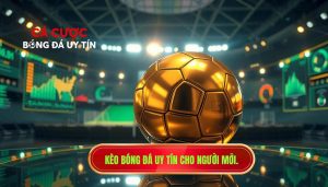 Kèo nào phù hợp cho người mới? Cẩm nang chọn kèo dễ thắng tại lostinshadow.com